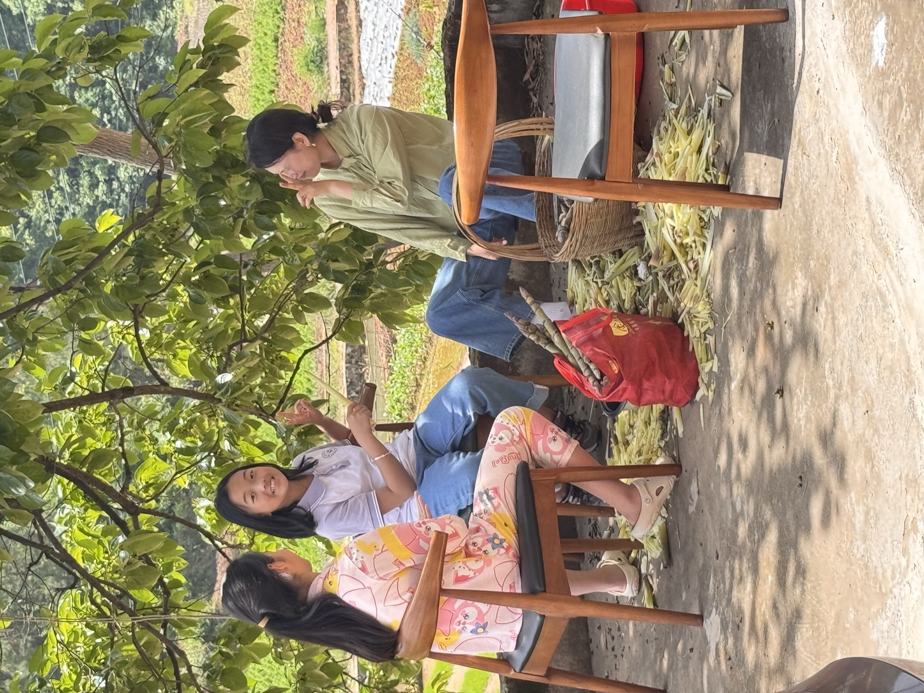 女孩与两名成年人在户外树下休息或准备食物